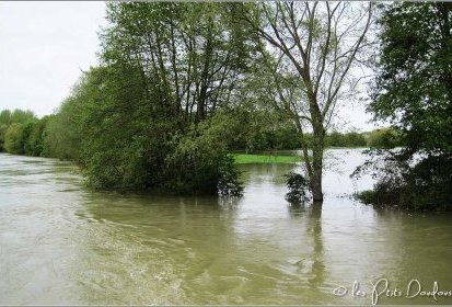 Et au milieu coule la Seine...