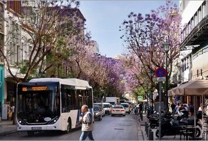 Athènes - les jaracandas de la rue Athinas