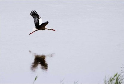 Entre terre et ciel : l'eau