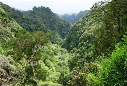 levada du "Caldeirão Verde"