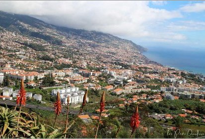 Madère - Funchal