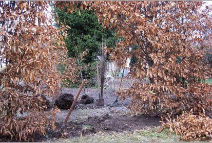 Pendant les travaux