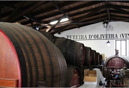 Funchal - cave vin de Madère