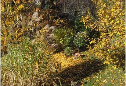 Jardin d'automne