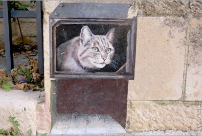les chats de Troyes