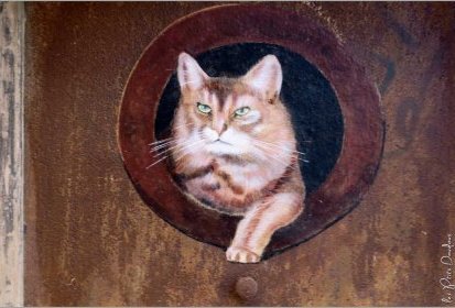 les chats de Troyes