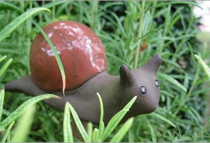 Margot l'escargot, au milieu du romarin.