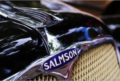 Salmson