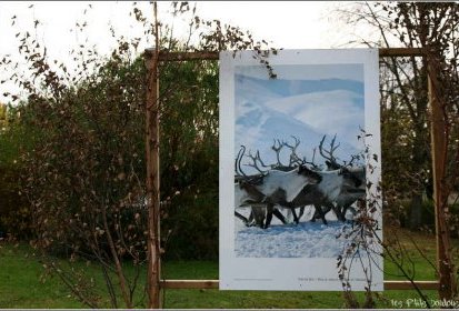 Expo nature