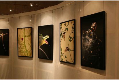 Photographie ou Zoologie ...