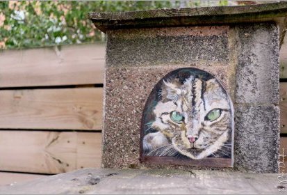les chats de Troyes