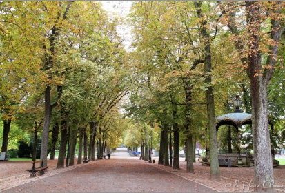 Nancy - Parc de la Pépinière
