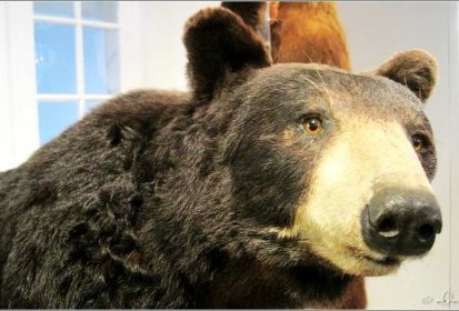 Ours
