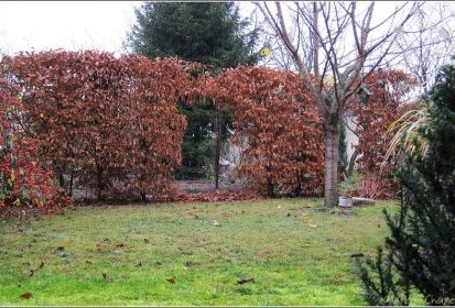 Coté jardin