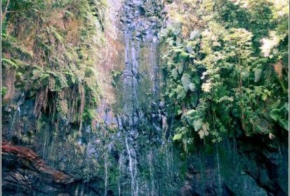 levada des "25 Fontes"