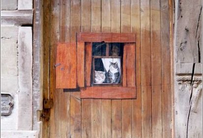les chats de Troyes