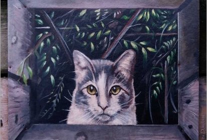 les chats de Troyes