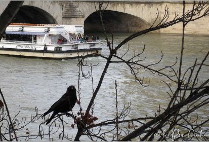 "Et au milieu coule la Seine"