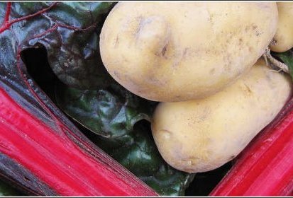 Poirée & Pommes de terre