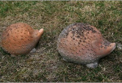Nigloo, le hérisson