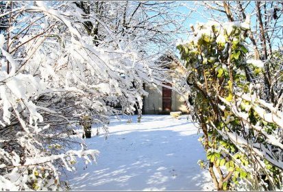 vers la Cabane au fond du jardin