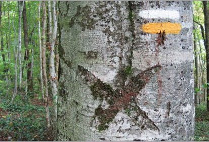 ... de chemin