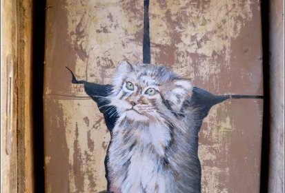 les chats de Troyes