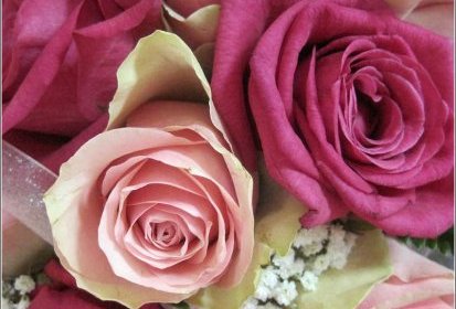 le Bouquet
