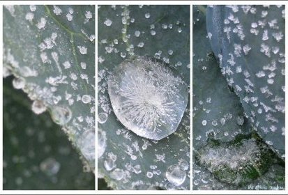 givre