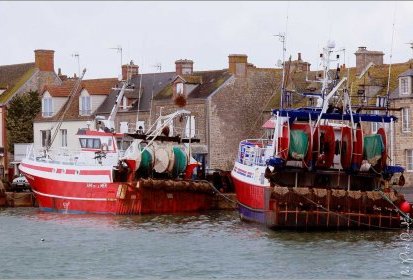Cotentin - Barfleur