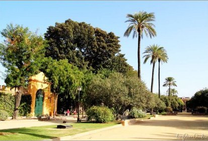 Séville - jardins de Murillo