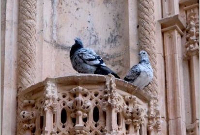 Monastère de Batalha - chapelles inachevées (détail pilier)