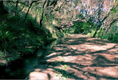 levada des "25 Fontes"