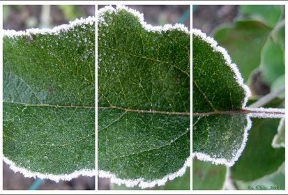 givre