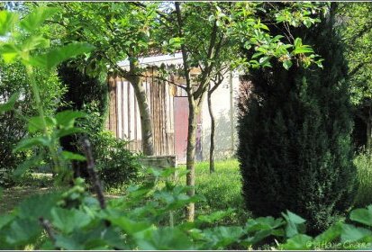 la cabane au fond du jardin