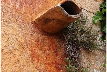 Roussillon : gargouille