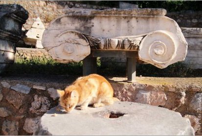 le chat de Delphes