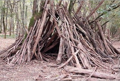 Cabane
